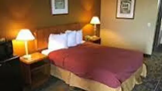 Americas Best Value Inn-Livonia/Detroit | Michigan - Detroit (ve civarı) - Livonia