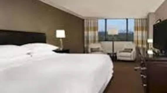 Sheraton DFW Airport Hotel | Teksas - Dallas (ve civarı) - Irving - Las Colinas