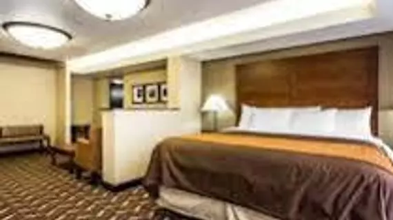 Quality Inn & Suites Memphis | Tennessee - Memphis (ve civarı) - Memphis