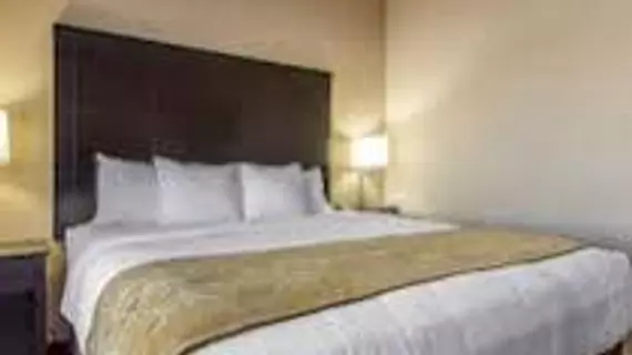 COMFORT SUITES AIRPORT | Louisiana - New Orleans (ve civarı) - Kenner - Kenner - Louis Armstrong Uluslararası Havalimanı