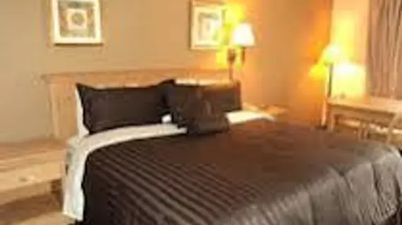 Americas Best Value Inn Near Downtown Nashville | Tennessee - Nashville-Davidson - Nashville (ve civarı) - Nashville