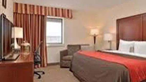 Comfort Inn & Suites Denver | Kolorado - Denver (ve civarı) - Denver - Northeast Park Hill