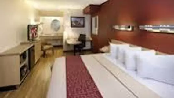 Red Roof Inn Washington DC - Laurel | Maryland - Baltimore (ve civarı) - Laurel