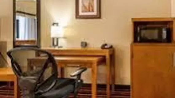 Comfort Suites Sulphur | Louisiana - Lake Charles (ve civarı) - Sulphur