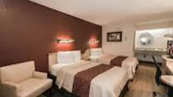 Red Roof Inn Chicago - Downers Grove | İllinois - Downers Grove