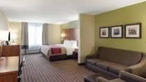 Comfort Inn & Suites Fayetteville | Arkansas - Bentonville - Fayetteville (ve civarı) - Fayetteville