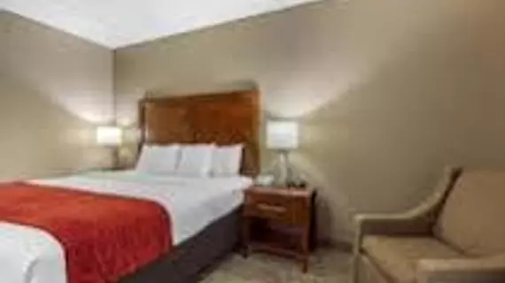 Comfort Inn & Suites Chattanooga | Tennessee - Chattanooga (ve civarı) - Chattanooga