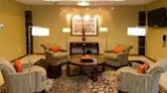 Holiday Inn Express Hotel & Suites Alexandria - Fort Belvoir | Virginia - İskenderiye - Belle Haven