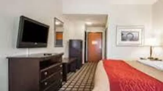 Comfort Inn & Suites Montgomery | Alabama - Montgomery (ve civarı) - Montgomery