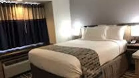 MICROTEL INN & SUITES BY WYNDH | Louisiana - Baton Rouge (ve civarı) - Baton Rouge - Sherwood Ormanı