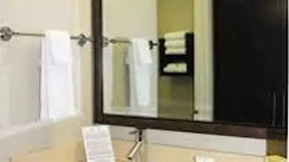 Staybridge Suites By Holiday Inn Houston Iah Beltway 8 | Teksas - Houston (ve civarı) - Houston - Aldine