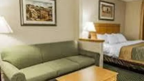 Comfort Inn Kokomo | Indiana - Kokomo (ve civarı) - Kokomo