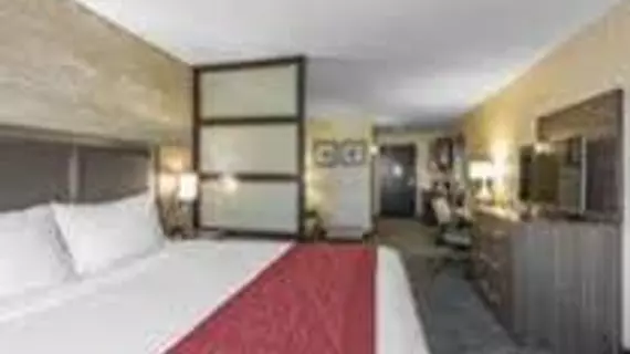 Comfort Inn & Suites | Alberta - Calgary (ve civarı) - Calgary