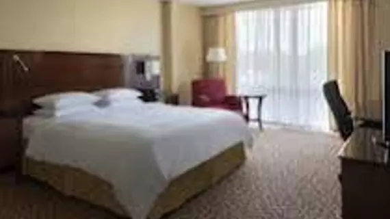 Saddle Brook Marriott | New Jersey - Fort Lee - Paramus (ve civarı) - Saddle Brook