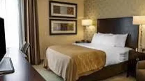 Comfort Inn Bloomington | Indiana - Bloomington (ve civarı) - Bloomington