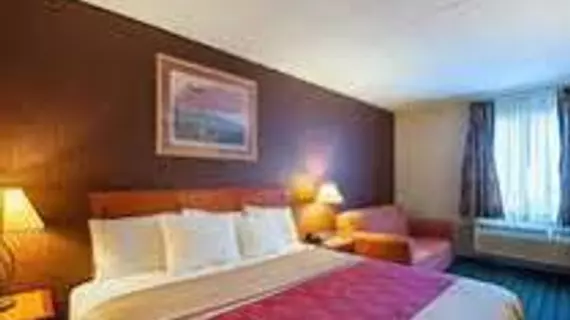 Quality Inn Near Pimlico Racetrack | Maryland - Baltimore (ve civarı) - Baltimore