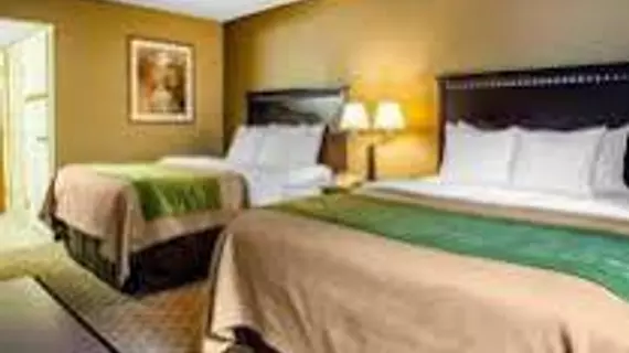 Comfort Inn Edison | New Jersey - Franklin Township - Somerset (ve civarı) - Edison