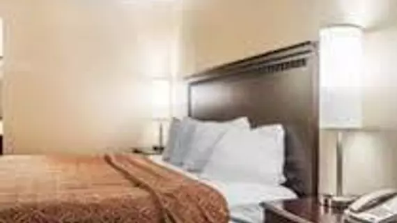 Econo Lodge Elmira | New York - Elmira (ve civarı) - Horseheads - Big Flats Airport