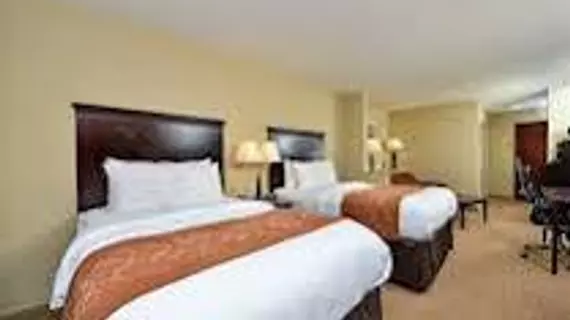 Holiday Inn Express Mobile West - I-65 | Alabama - Mobile (ve civarı) - Mobile