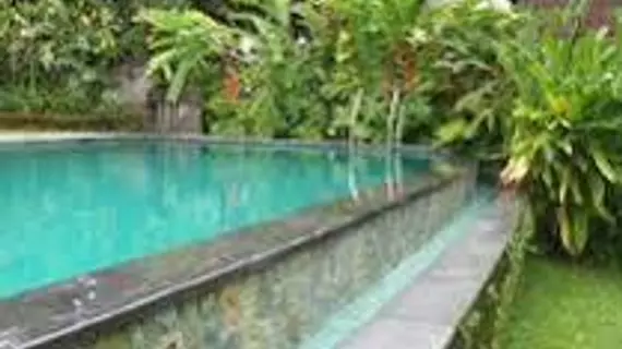 Ananda Cottage Hotel | Bali - Ubud - Kedewatan