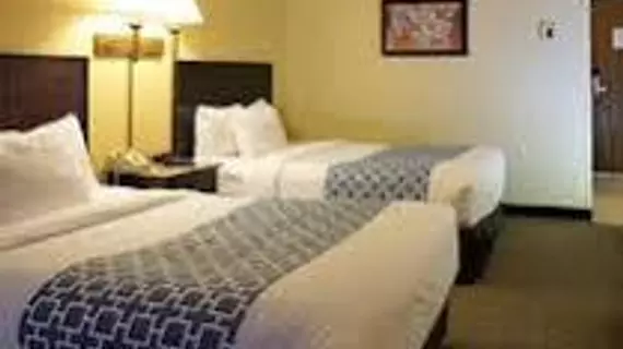 Econo Lodge Rochester | Minnesota - Rochester (ve civarı) - Rochester