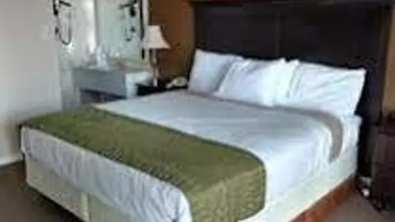 Americas Best Value Inn & Suites - Kansas City | Missouri - Kansas City (ve civarı) - Kansas