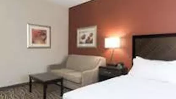 Holiday Inn Express Hotel & Suites Grand Rapids-North | Michigan - Grand Rapids (ve civarı) - Grand Rapids