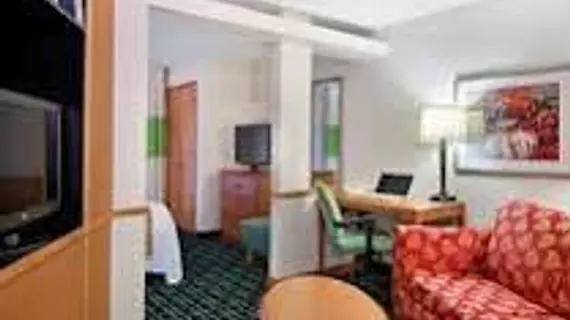 Fairfield Inn and Suites by Marriott Tampa North | Florida - Tampa (ve civarı) - Tampa - Temple Terrace