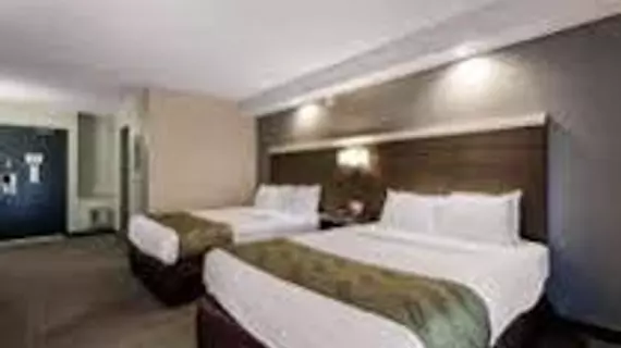 Quality Inn West Springfield | Massachusetts - Springfield (ve civarı) - West Springfield