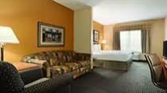 Country Inn & Suites by Radisson, Elk Grove Village/Itasca | İllinois - Elk Grove Village