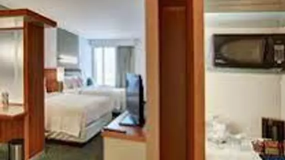 SpringHill Suites by Marriott Dallas Plano/Frisco | Teksas - Dallas (ve civarı) - Plano