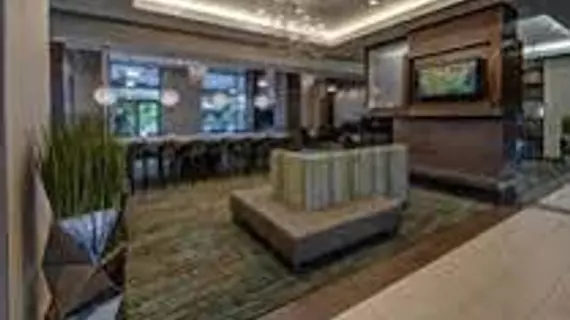 Residence Inn Norfolk Downtown | Virginia - Norfolk - Virginia Beach (ve civarı) - Norfolk