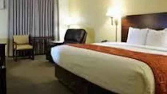 Econo Lodge Rochester | Minnesota - Rochester (ve civarı) - Rochester