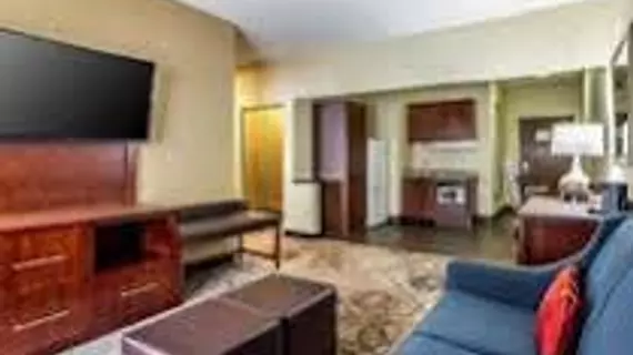 Comfort Suites | Michigan - Detroit (ve civarı) - Southfield