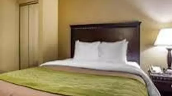 Comfort Inn Edison | New Jersey - Franklin Township - Somerset (ve civarı) - Edison