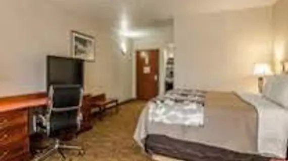 Sleep Inn & Suites Springdale | Arkansas - Bentonville - Fayetteville (ve civarı) - Springdale