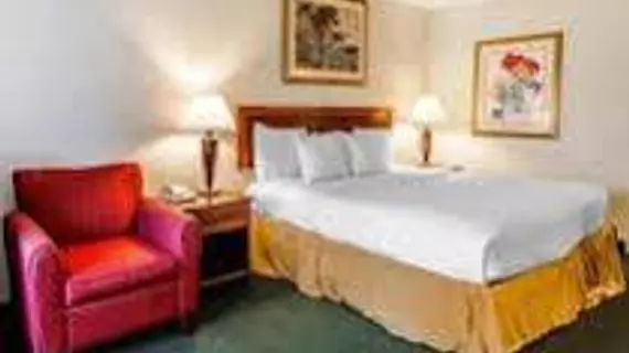 Clarion Inn & Suites Dothan | Alabama - Dothan (ve civarı) - Dothan