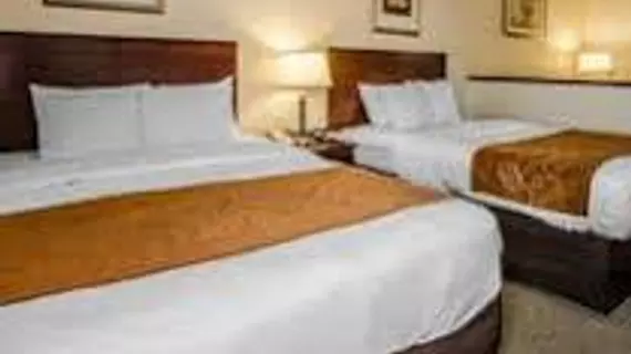 Comfort Suites Jeffersonville | Indiana - Jeffersonville - Clarksville (ve civarı) - Jeffersonville