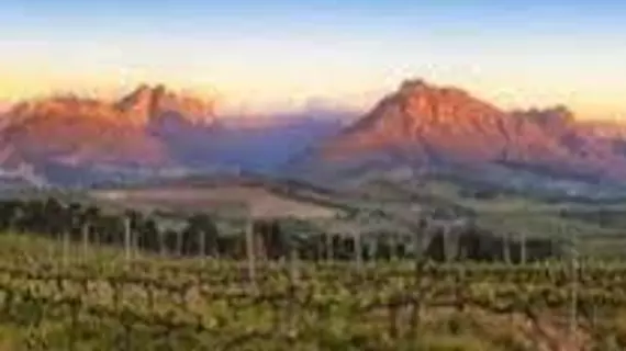 Sunrise and Sunset Apartments at Domaine Coutelier | Western Cape (il) - West Coast DC - Drakenstein - Cape Town (ve civarı) - Stellenbosch