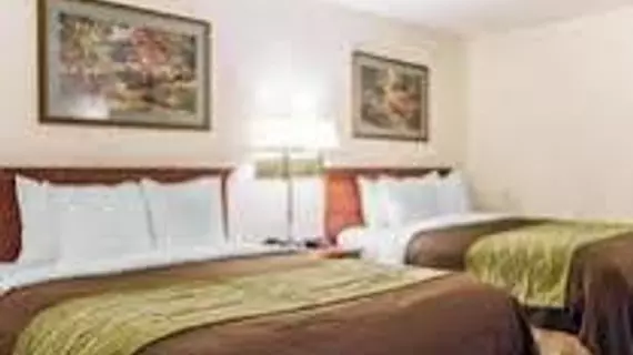 Comfort Inn Opryland Area | Tennessee - Nashville-Davidson - Nashville (ve civarı) - Nashville - Opryland - Donelson