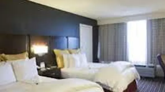 Wyndham Garden Norfolk Downtown | Virginia - Norfolk - Virginia Beach (ve civarı) - Norfolk