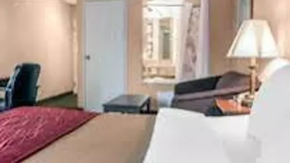 Comfort Inn of Livonia | Michigan - Detroit (ve civarı) - Livonia