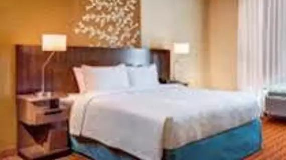 Fairfield Inn and Suites Lansing at Eastwood | Michigan - Lansing (ve civarı) - Lansing