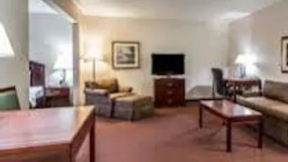 Comfort Inn And Suites | Iowa - Burlington (ve civarı) - Fort Madison