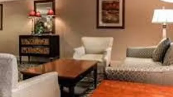 Comfort Inn of Livonia | Michigan - Detroit (ve civarı) - Livonia