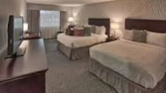 Somerset Inn Troy | Michigan - Detroit (ve civarı) - Troy