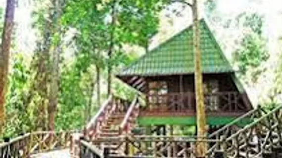 Tabin Wildlife Resort | Sabah - Lahad Datu