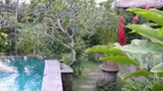 Ananda Cottage Hotel | Bali - Ubud - Kedewatan