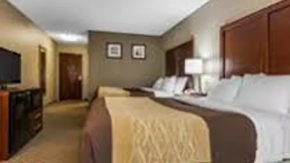 Comfort Inn & Suites Mishawaka | Indiana - South Bend (ve civarı) - Mishawaka