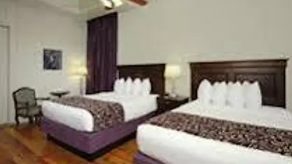 Inn on St Ann | Louisiana - New Orleans (ve civarı) - New Orleans - French Quarter (Fransız Mahallesi)